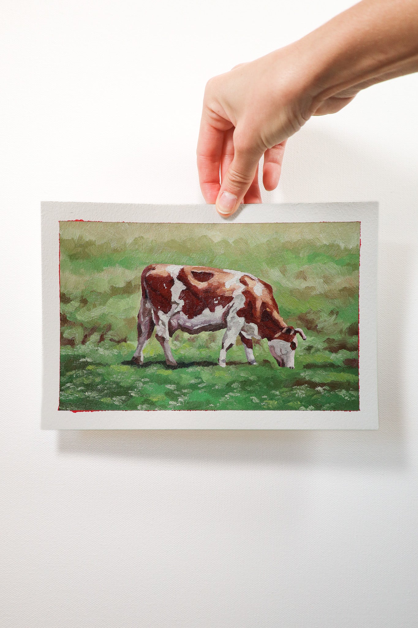 Cow (Original)