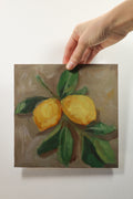 Lemon Study (Original)