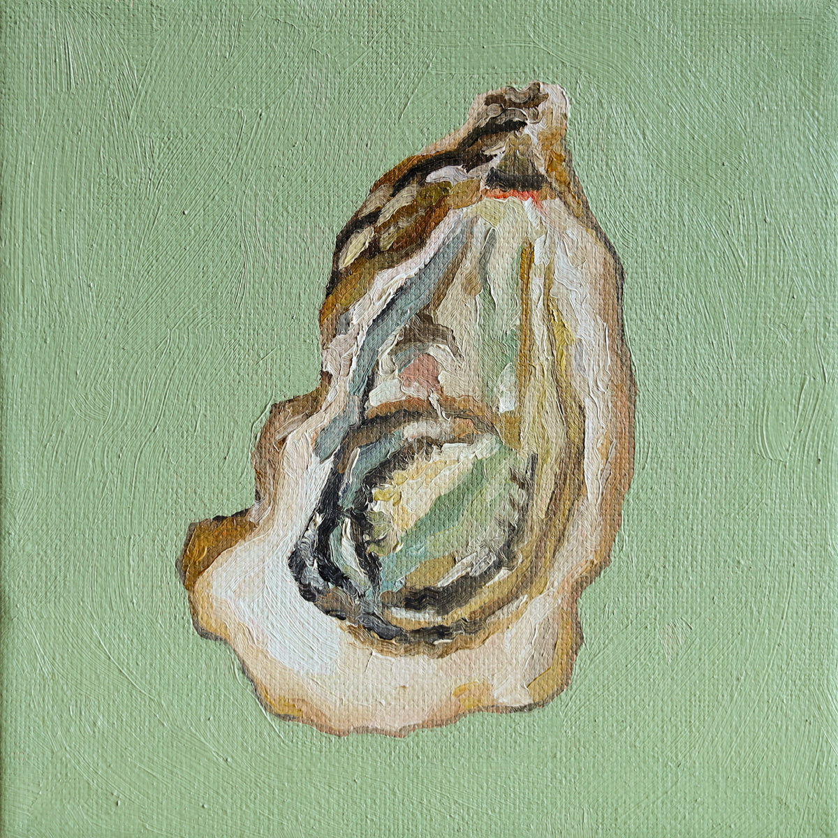 Oyster Mini