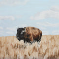 Where the Buffalo Roam (Print)