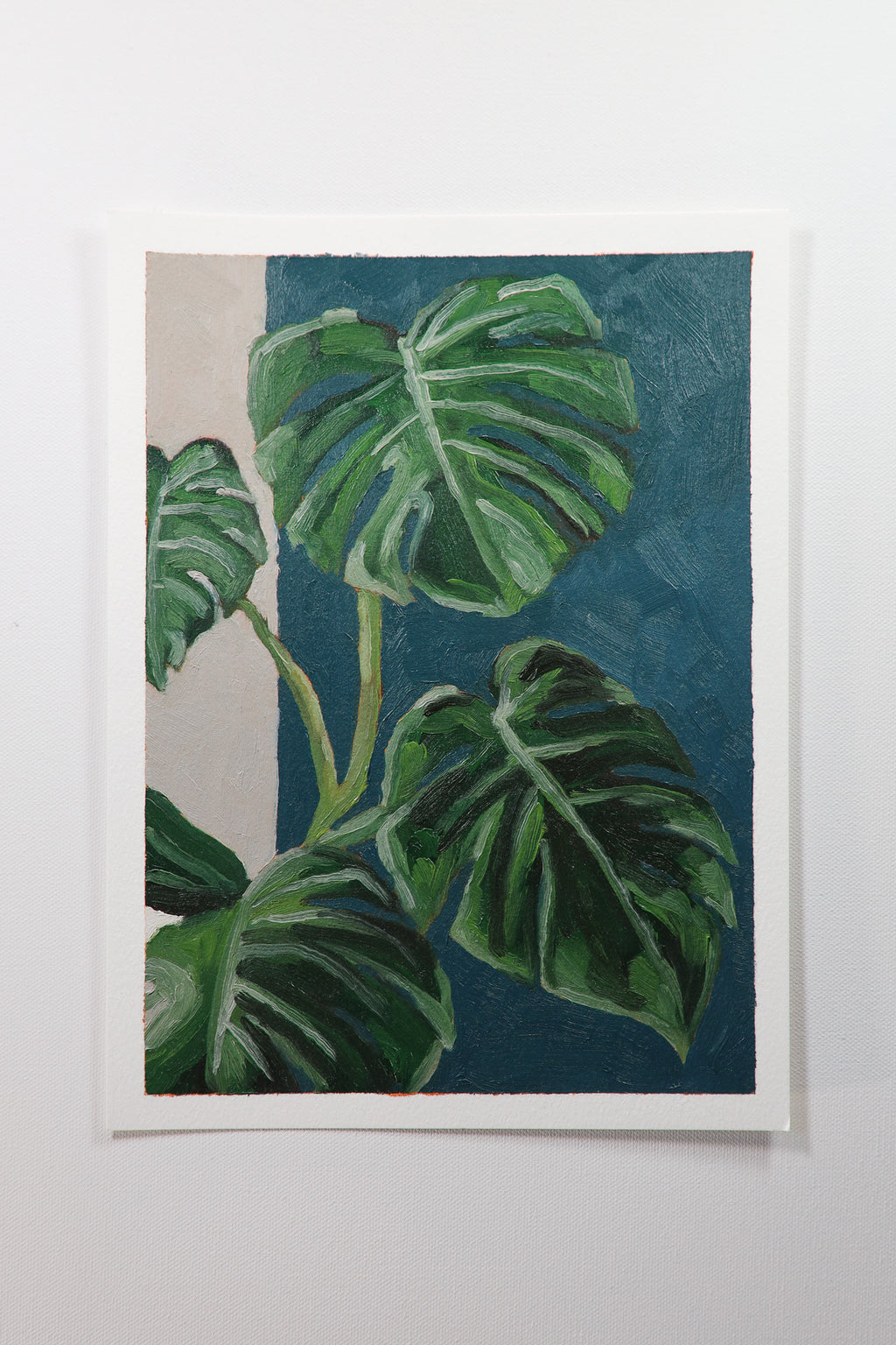 Monstera Plant Study (Original)