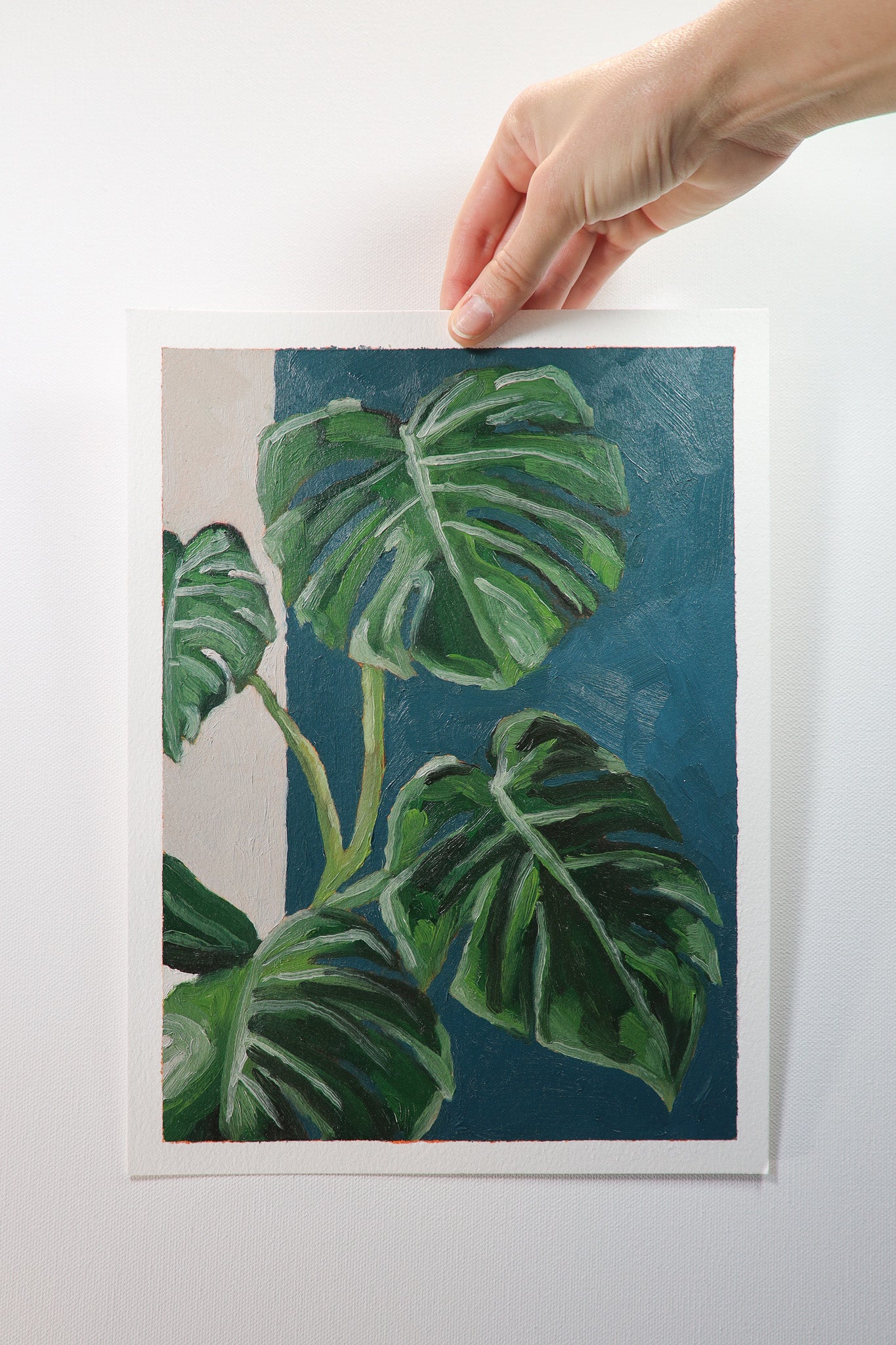 Monstera Plant Study (Original)