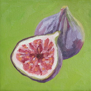 Fig Mini