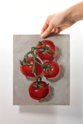 Tomato Study (Original)