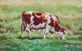 Cow (Print)