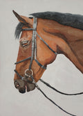 Horse (Print)
