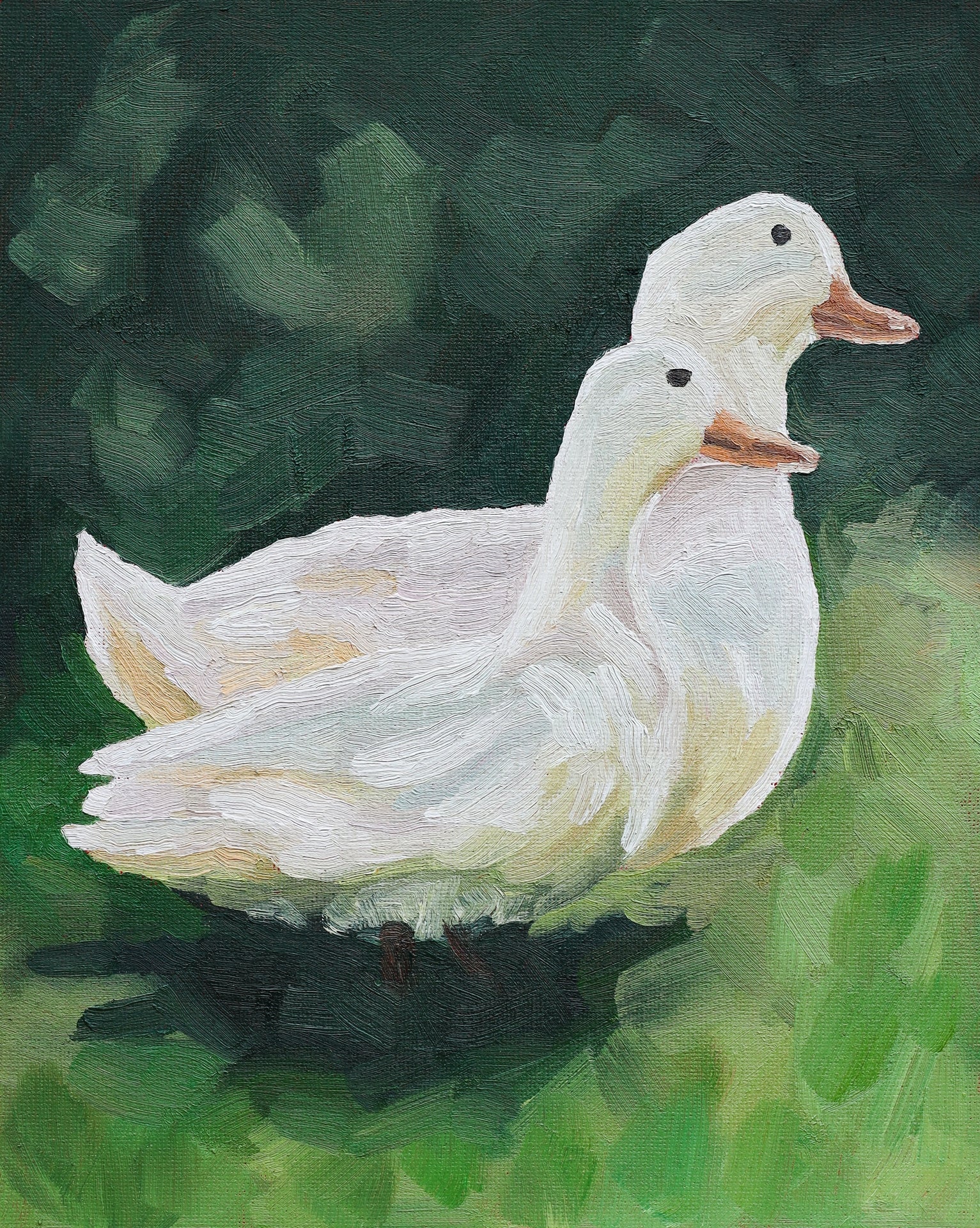 Ducks (Print)